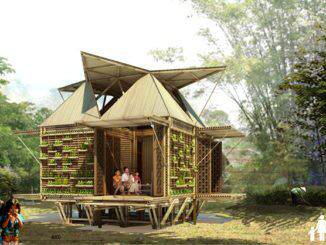 Casas-bambu